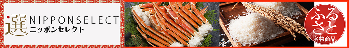https://www.elineupmall.com/nipponselect