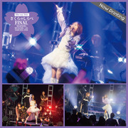 ※画像はイメージです。ジャケット写真ではございませんので、ご注意ください。